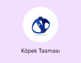 Köpek Tasması