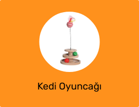 Kedi Oyuncağı