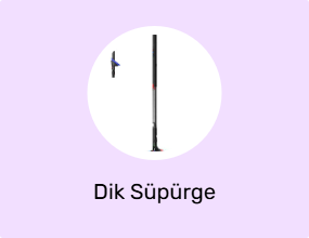 Dik Süpürge