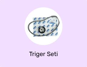 Triger Seti