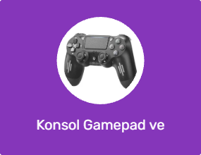 Konsol Gamepad ve Joystick