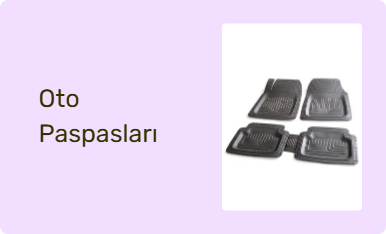 Oto Paspasları