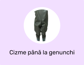 Cizme până la genunchi