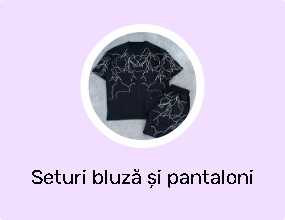 Seturi bluză și pantaloni