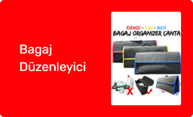 Bagaj Düzenleyici