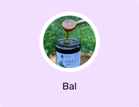 Bal