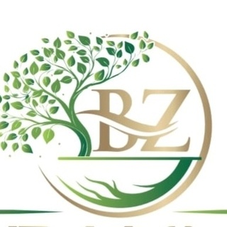 BORANLAR ZEYTİNYAĞI