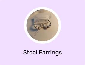 Steel Earrings