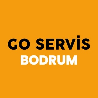goservis