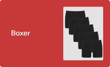 Boxer