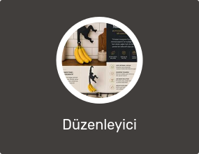 Düzenleyici