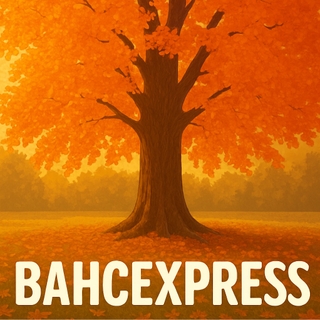 Bahcexpress