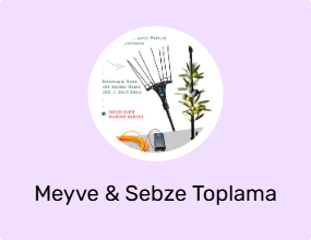 Meyve & Sebze Toplama Makinesi
