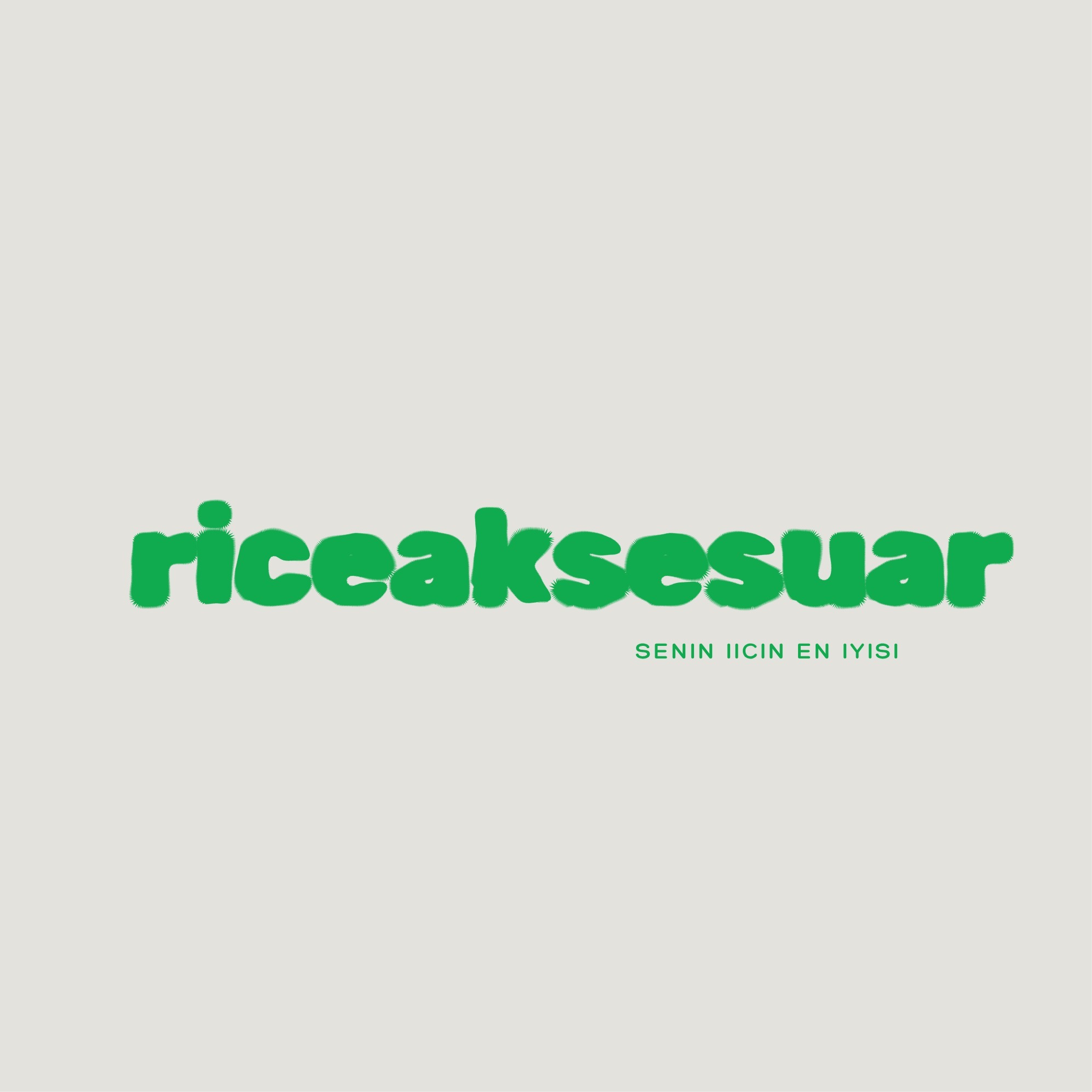 Rice Aksesuar