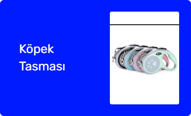 Köpek Tasması