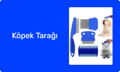 Köpek Tarağı