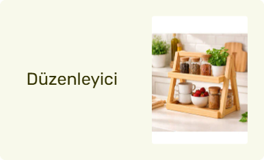 Düzenleyici