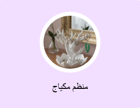 منظم مكياج