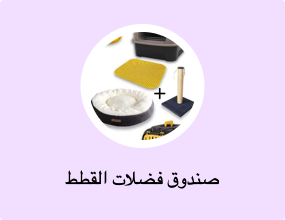 صندوق فضلات القطط