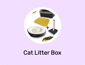 Cat Litter Box
