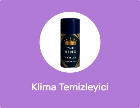 Klima Temizleyici