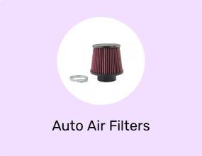 Auto Air Filters