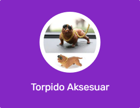Torpido Aksesuar