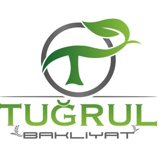TUĞRUL BAKLİYAT