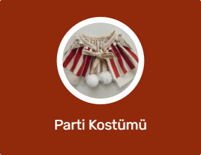 Parti Kostümü