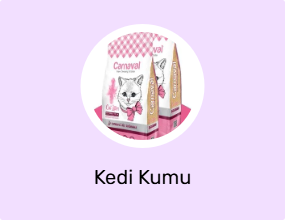 Kedi Kumu