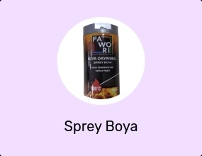 Sprey Boya