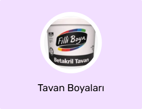 Tavan Boyaları