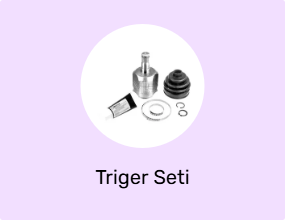 Triger Seti