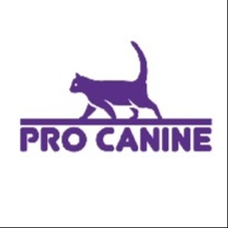 PROCANİNE