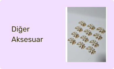 Diğer Aksesuar