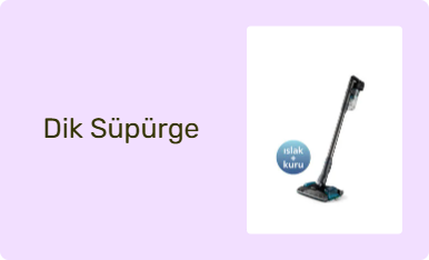 Dik Süpürge