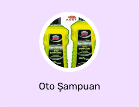 Oto Şampuan