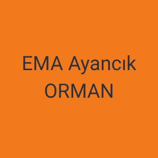 EMA Ayancık ORMAN