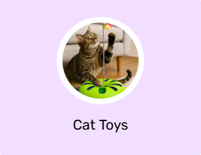 Cat Toys