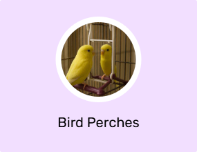 Bird Perches