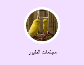 مجثمات الطيور