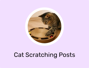 Cat Scratching Posts