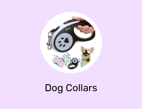 Dog Collars