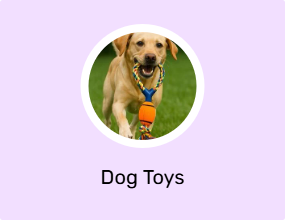 Dog Toys