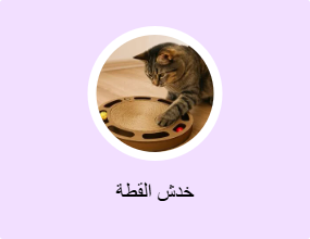 خدش القطة