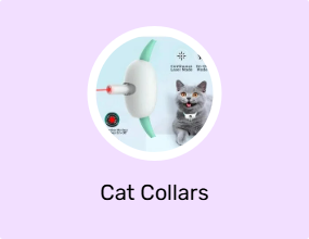 Cat Collars