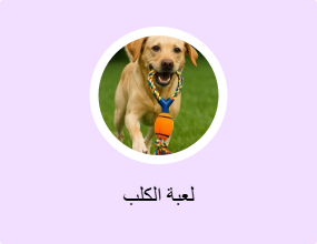 لعبة الكلب