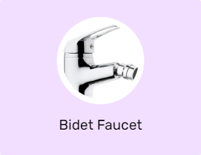 Bidet Faucet