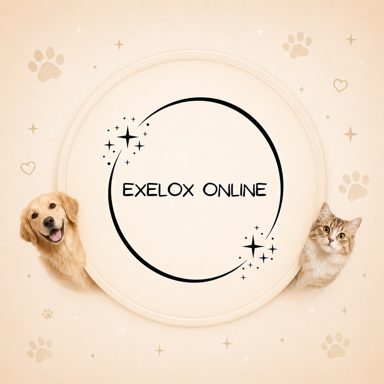 Exelox Online