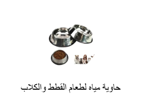 حاوية مياه لطعام القطط والكلاب